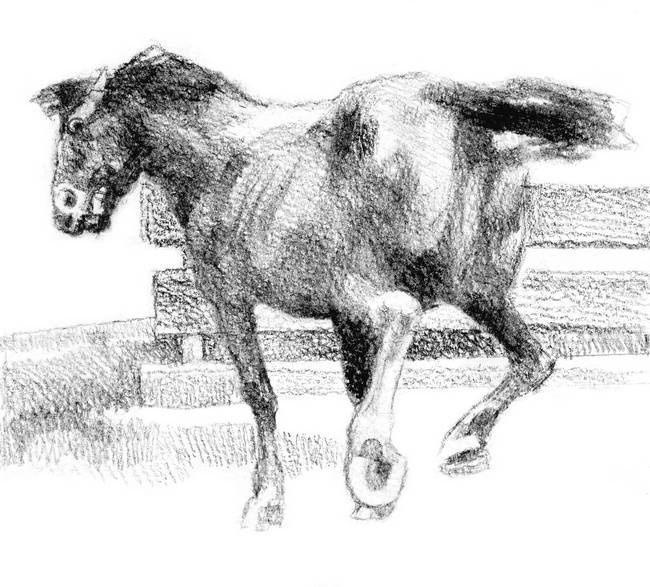 Иллюстрация к книге — Бегство к себе. Жизнь подростка [i_015.jpg]