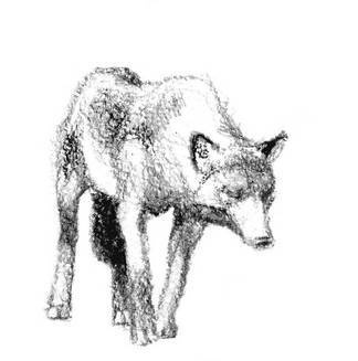 Иллюстрация к книге — Бегство к себе. Жизнь подростка [i_018.jpg]