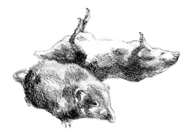 Иллюстрация к книге — Бегство к себе. Жизнь подростка [i_028.jpg]