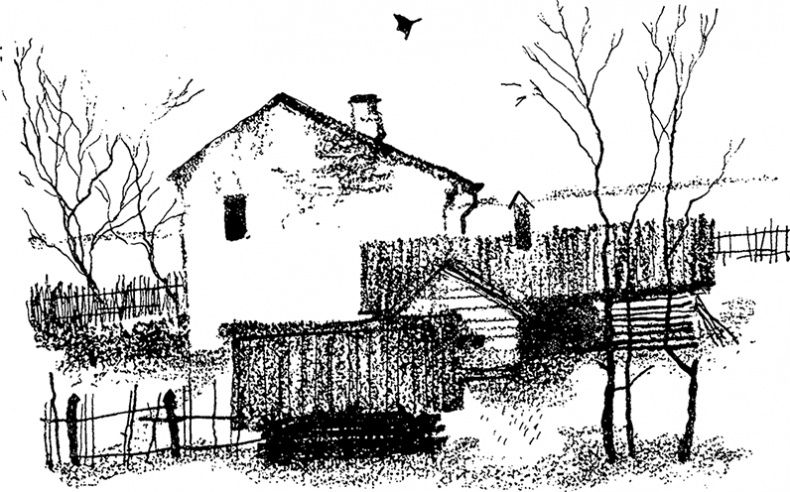 Иллюстрация к книге — Город и лес у моря [i_015.jpg]