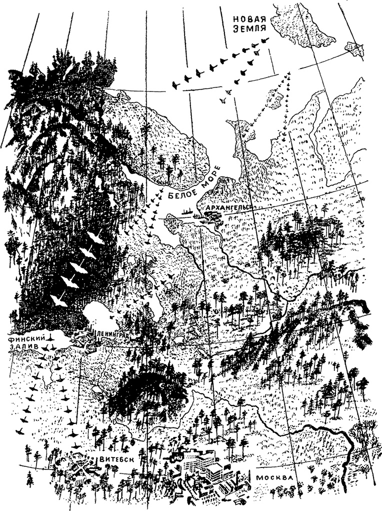 Иллюстрация к книге — Город и лес у моря [i_019.jpg]