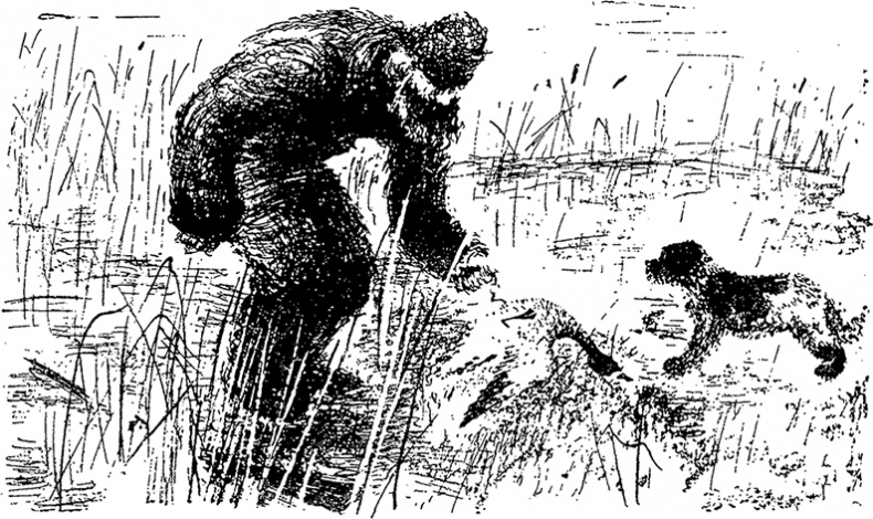 Иллюстрация к книге — Город и лес у моря [i_025.jpg]