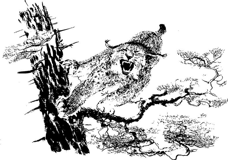 Иллюстрация к книге — Город и лес у моря [i_037.jpg]