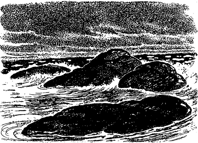 Иллюстрация к книге — Город и лес у моря [i_043.jpg]