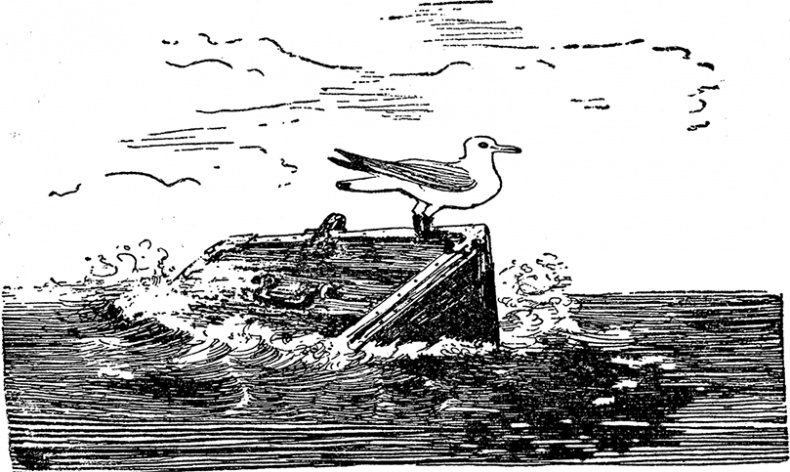 Иллюстрация к книге — Город и лес у моря [i_048.jpg]