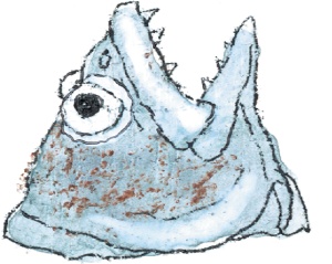 Иллюстрация к книге — Шамайка – королева кошек [i_002.jpg]