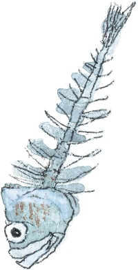 Иллюстрация к книге — Шамайка – королева кошек [i_006.jpg]