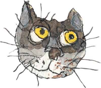 Иллюстрация к книге — Шамайка – королева кошек [i_018.jpg]