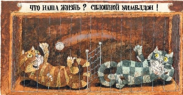 Иллюстрация к книге — Шамайка – королева кошек [i_037.jpg]