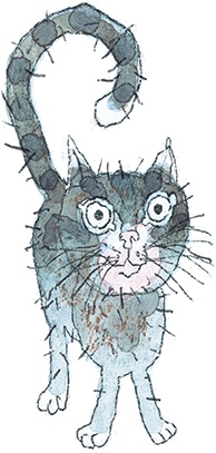 Иллюстрация к книге — Шамайка – королева кошек [i_049.jpg]