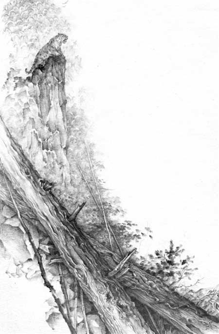 Иллюстрация к книге — Под знаком тигра [Autogen_eBook_id2.jpg]