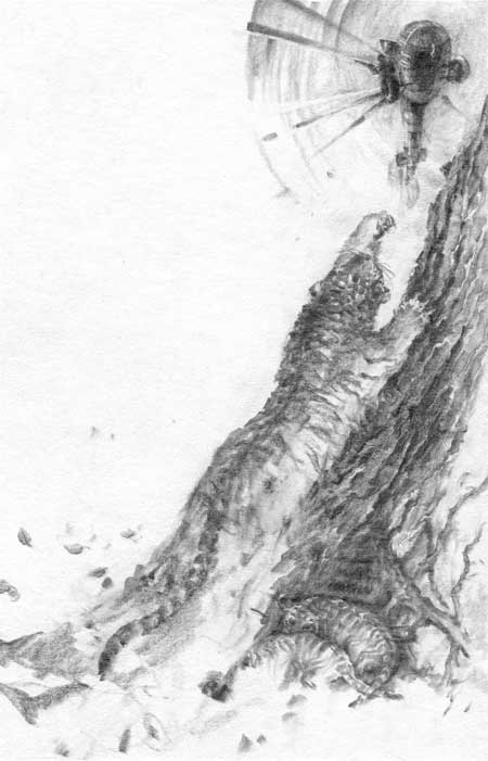 Иллюстрация к книге — Под знаком тигра [Autogen_eBook_id27.jpg]