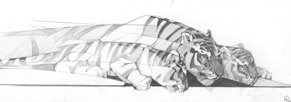 Иллюстрация к книге — Под знаком тигра [Autogen_eBook_id28.jpg]