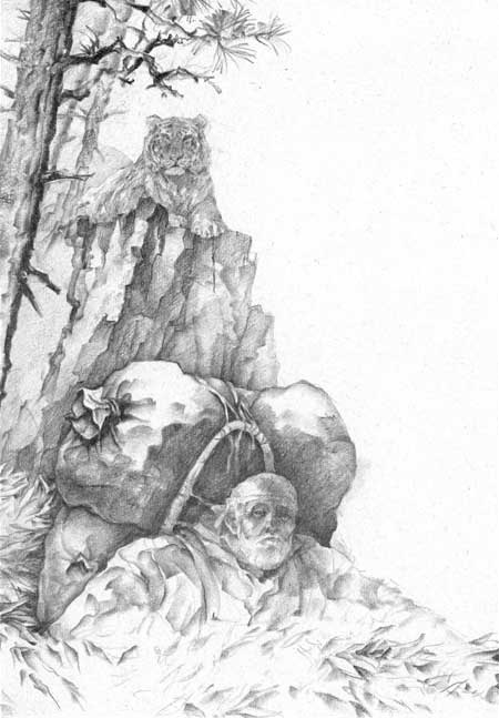 Иллюстрация к книге — Под знаком тигра [Autogen_eBook_id41.jpg]