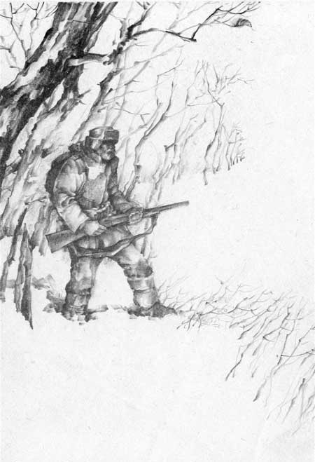 Иллюстрация к книге — Под знаком тигра [Autogen_eBook_id48.jpg]