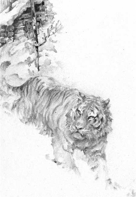 Иллюстрация к книге — Под знаком тигра [Autogen_eBook_id51.jpg]