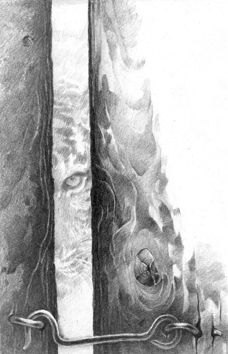 Иллюстрация к книге — Под знаком тигра [Autogen_eBook_id6.jpg]