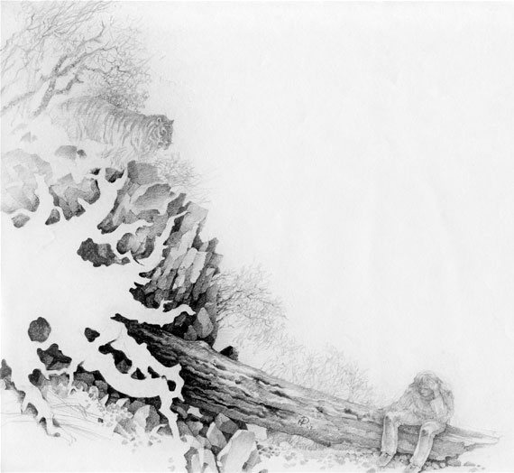 Иллюстрация к книге — Под знаком тигра [Autogen_eBook_id60.jpg]