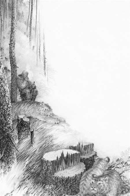 Иллюстрация к книге — Под знаком тигра [Autogen_eBook_id68.jpg]