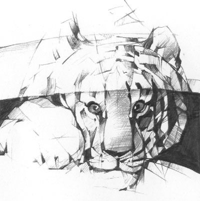 Иллюстрация к книге — Под знаком тигра [Autogen_eBook_id9.jpg]