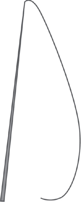 Иллюстрация к книге — 500 советов рыболову [i_003.jpg]