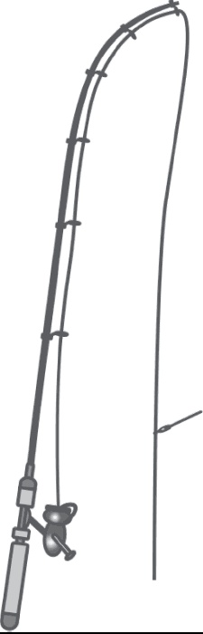 Иллюстрация к книге — 500 советов рыболову [i_005.jpg]