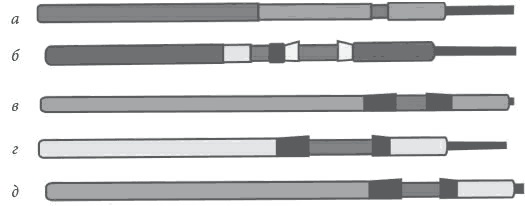 Иллюстрация к книге — 500 советов рыболову [i_008.jpg]