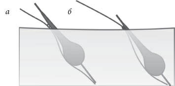 Иллюстрация к книге — 500 советов рыболову [i_027.jpg]