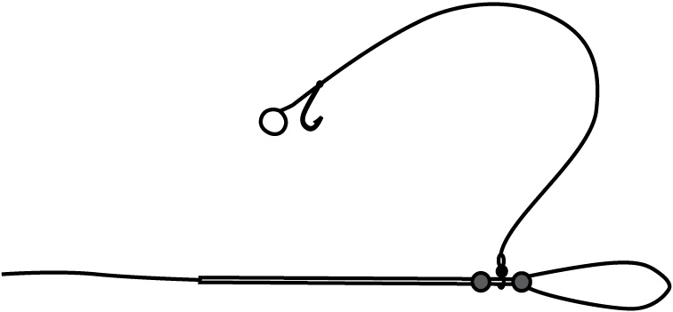 Иллюстрация к книге — 500 советов рыболову [i_051.jpg]