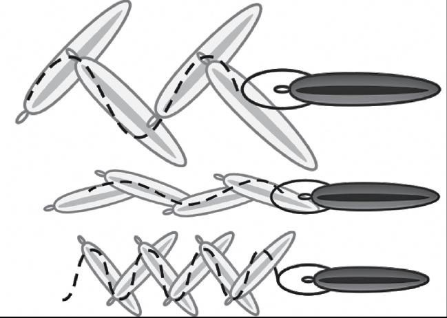 Иллюстрация к книге — 500 советов рыболову [i_079.jpg]