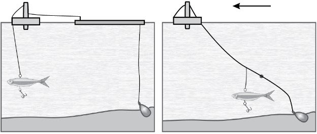Иллюстрация к книге — 500 советов рыболову [i_097.jpg]