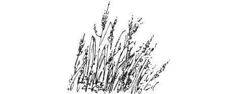 Иллюстрация к книге — Долгая дорога домой [img03.jpg]