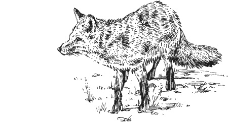 Иллюстрация к книге — Долгая дорога домой [img05.jpg]