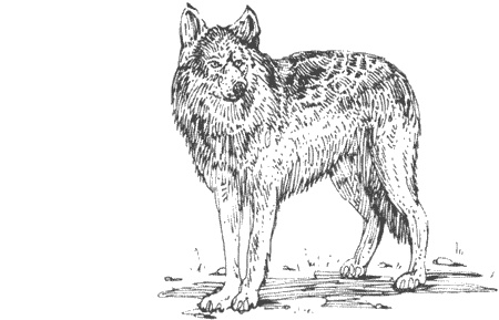 Иллюстрация к книге — Долгая дорога домой [img06.jpg]