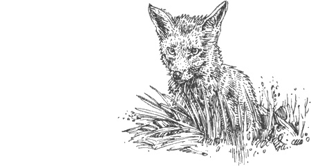 Иллюстрация к книге — Долгая дорога домой [img08.jpg]