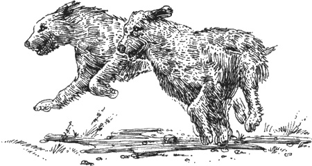 Иллюстрация к книге — Долгая дорога домой [img11.jpg]