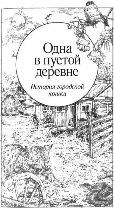 Иллюстрация к книге — Долгая дорога домой [img13.jpg]