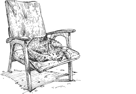 Иллюстрация к книге — Долгая дорога домой [img15.jpg]