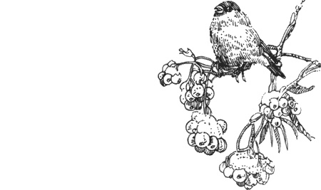 Иллюстрация к книге — Долгая дорога домой [img16.jpg]