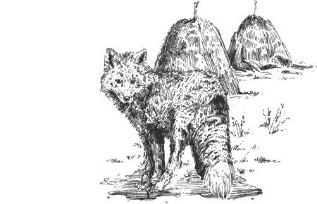 Иллюстрация к книге — Долгая дорога домой [img17.jpg]