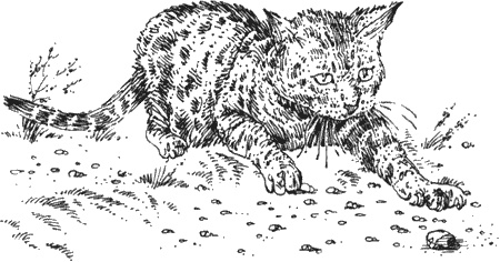 Иллюстрация к книге — Долгая дорога домой [img18.jpg]