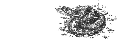 Иллюстрация к книге — Долгая дорога домой [img19.jpg]