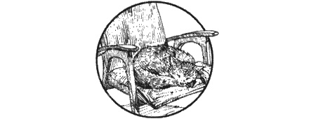 Иллюстрация к книге — Долгая дорога домой [img20.jpg]