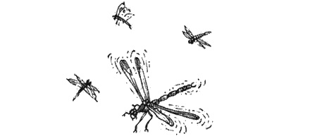 Иллюстрация к книге — Долгая дорога домой [img22.jpg]