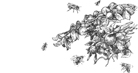 Иллюстрация к книге — Долгая дорога домой [img24.jpg]