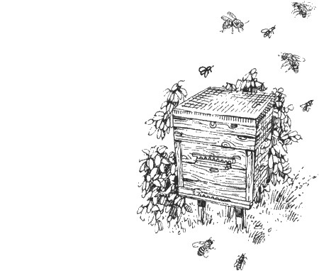 Иллюстрация к книге — Долгая дорога домой [img25.jpg]