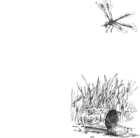 Иллюстрация к книге — Долгая дорога домой [img26.jpg]