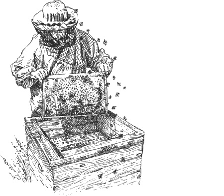 Иллюстрация к книге — Долгая дорога домой [img28.jpg]