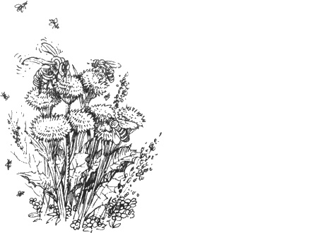 Иллюстрация к книге — Долгая дорога домой [img29.jpg]