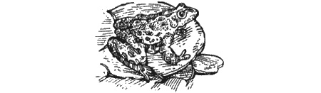 Иллюстрация к книге — Долгая дорога домой [img32.jpg]